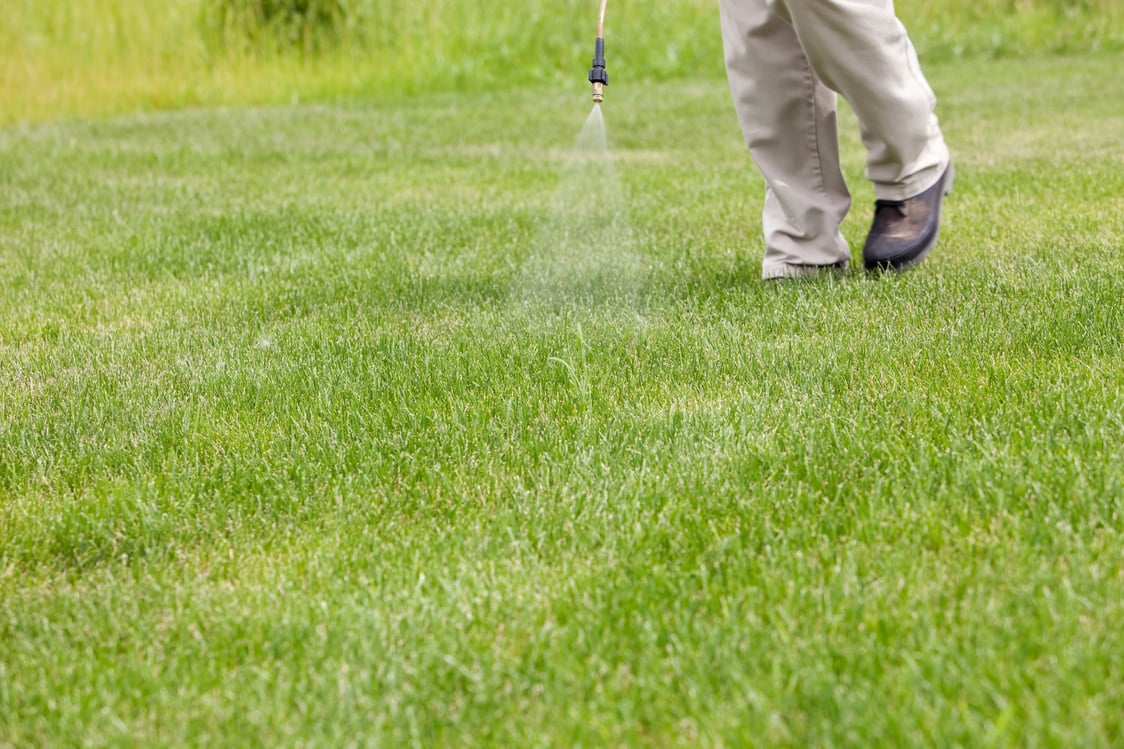 Lawn Care Worker Sprays Crabgrass