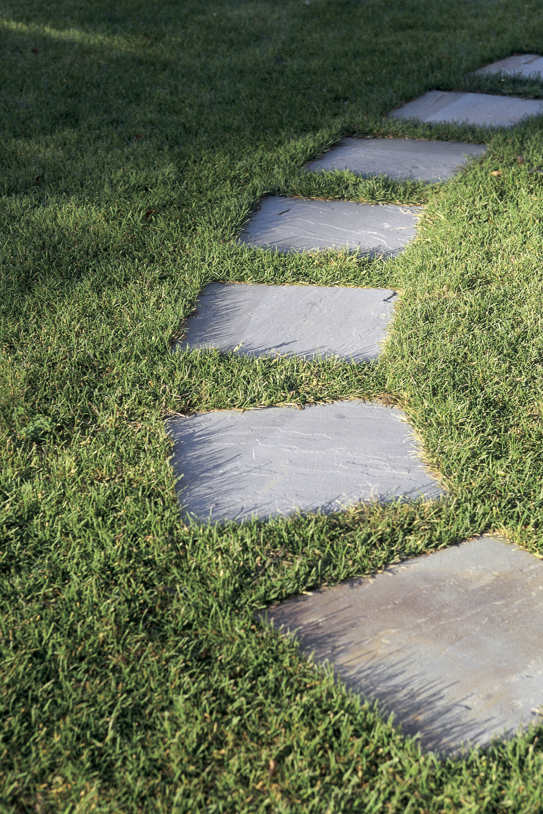 Stepping stones in grass